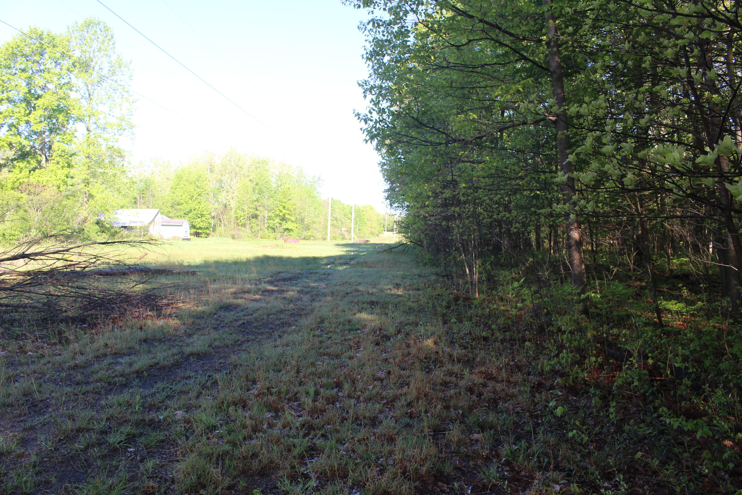 104th Avenue Allegan, MI 49010 - Photo 6 of 11 IMG_6703