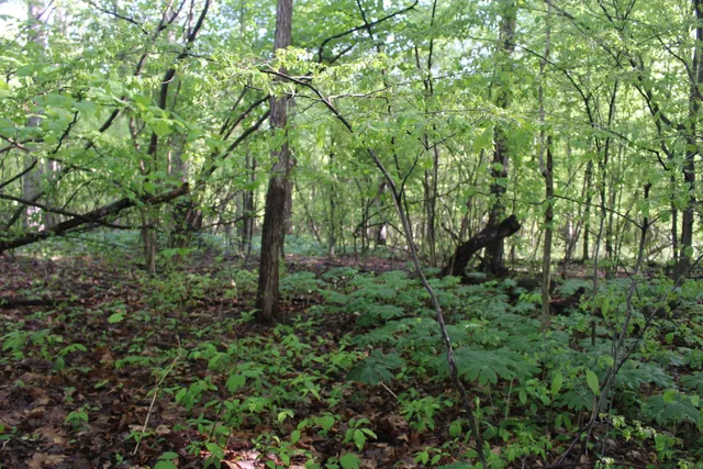 $70,000 | 104th Avenue, Allegan, MI 49010