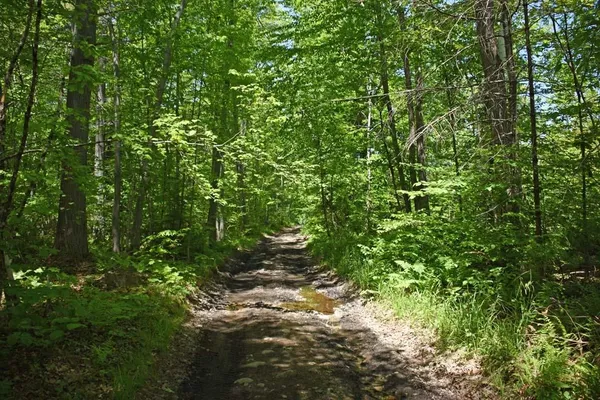 $350,000 | 401 Sixth Range Road, Pembroke, NH 03275