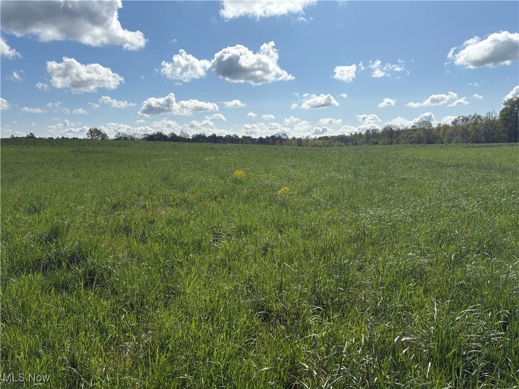 Brosius Road Garrettsville, OH 44231 - Photo 1 of 6 View of nature featuring rural landscape