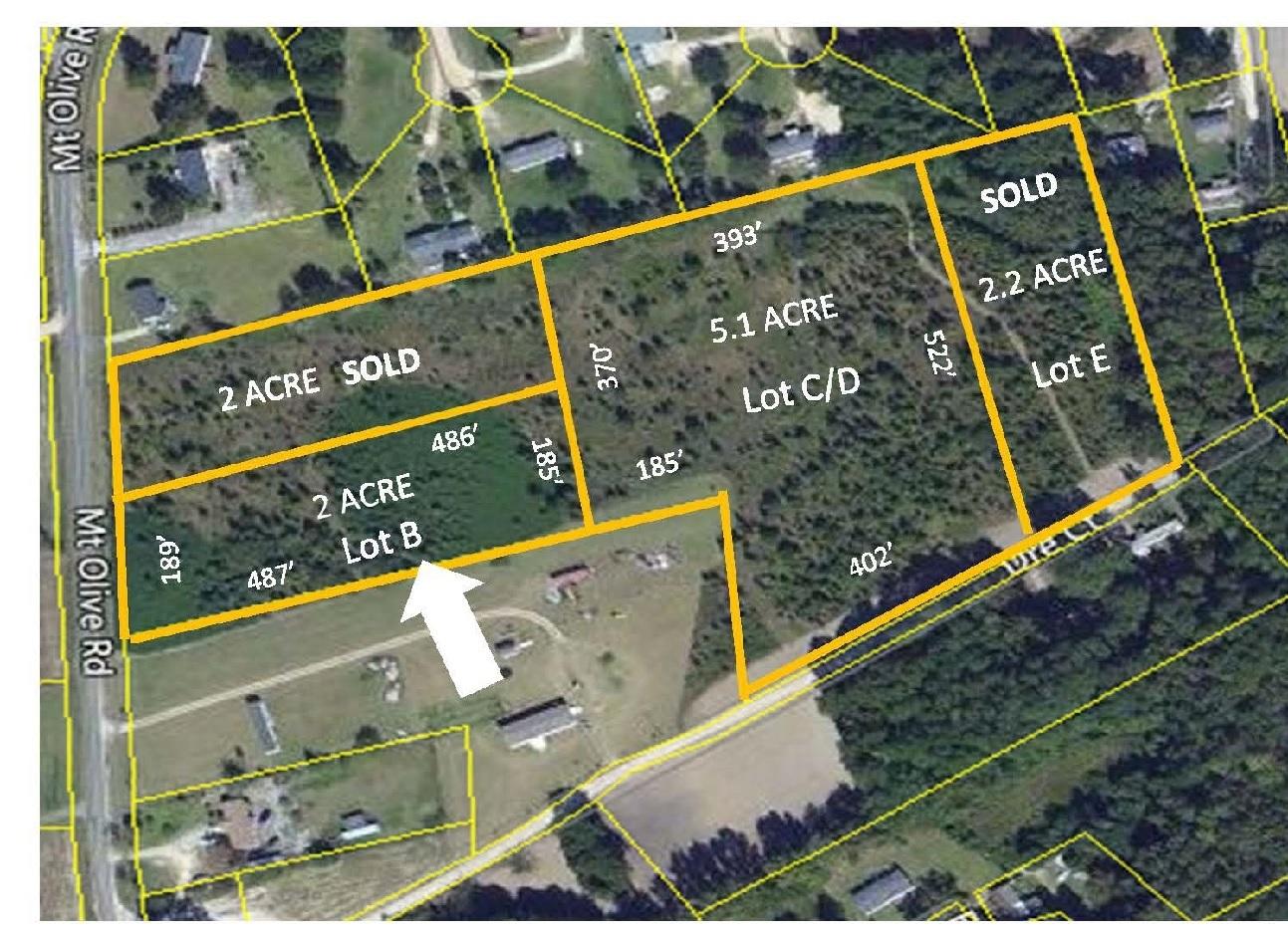 2 Mt Olive Road Santee, SC 29142 - Photo 3 of 6 Plot