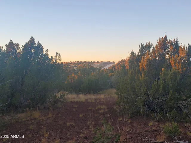 a view of a city with lush green forest
