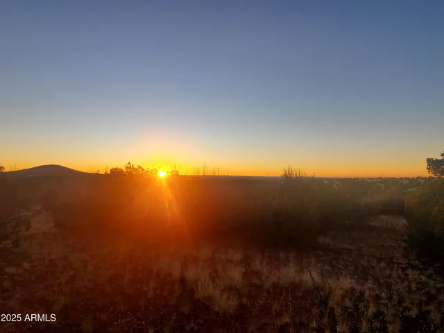 a view of mountain with trees in background