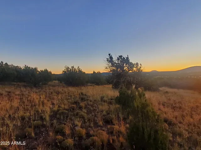 a view of a backyard of a house