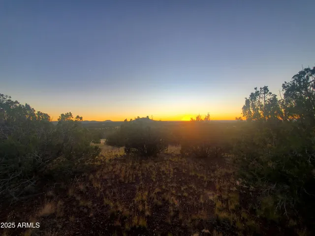 a view of a field of grass and trees