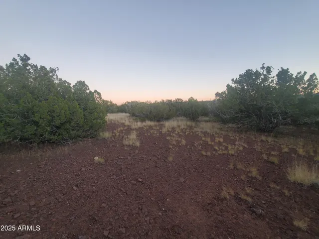 a view of an ocean from a yard