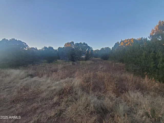 a view of a big yard