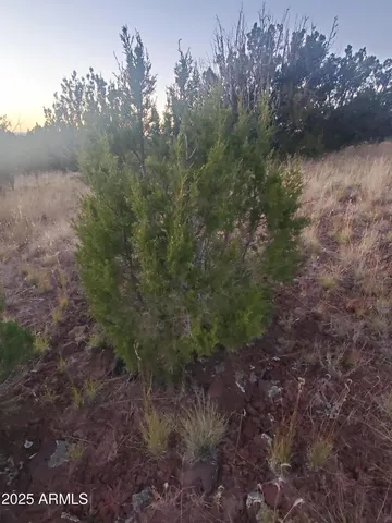 $500,000 | 1 County Road, Snowflake, AZ 85937