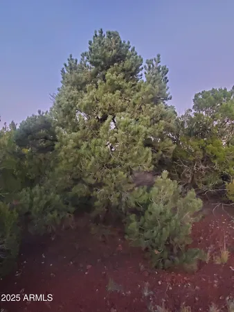 $500,000 | 1 County Road, Concho, AZ 85924
