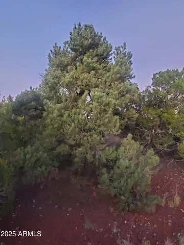 $500,000 | 1 County Road, Snowflake, AZ 85937