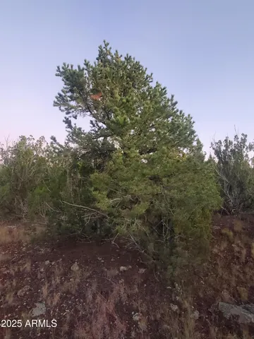 $500,000 | 1 County Road, Snowflake, AZ 85937