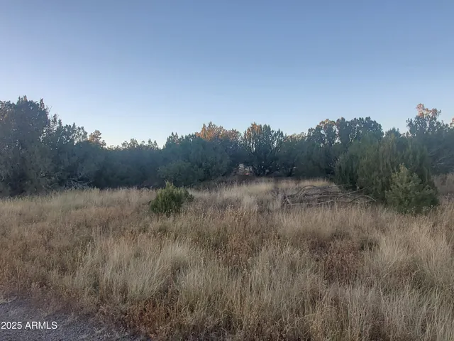 a view of a dry grass field