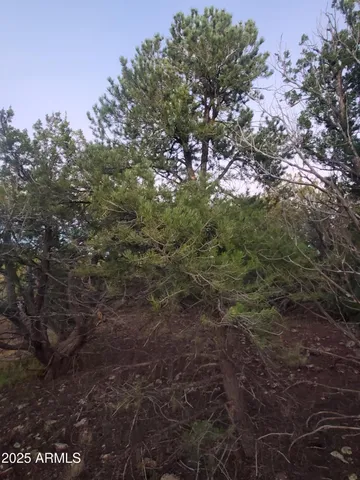 $500,000 | 1 County Road, Snowflake, AZ 85937