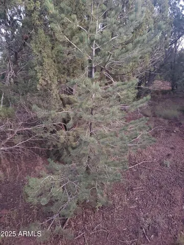 $500,000 | 1 County Road, Snowflake, AZ 85937