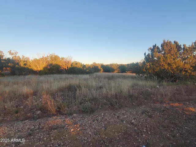 a view of a lake from a yard