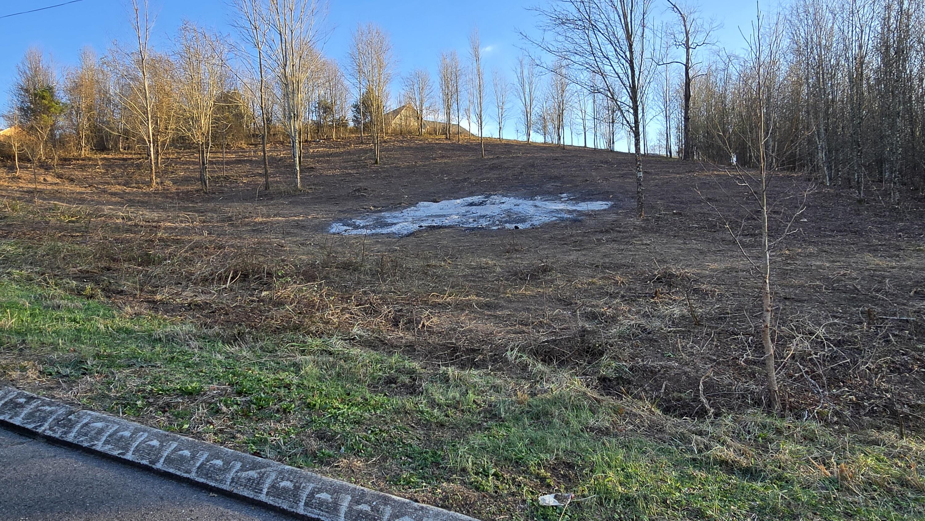 lot recently cleaned up