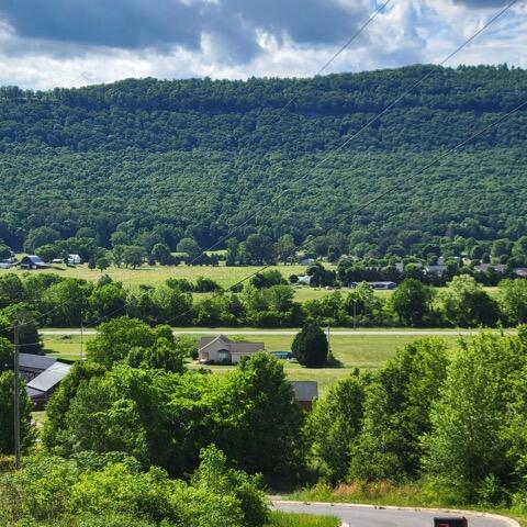 0 Hardin Road, Unit 74 Dunlap, TN 37327 - Photo 4 of 9 View from Lot