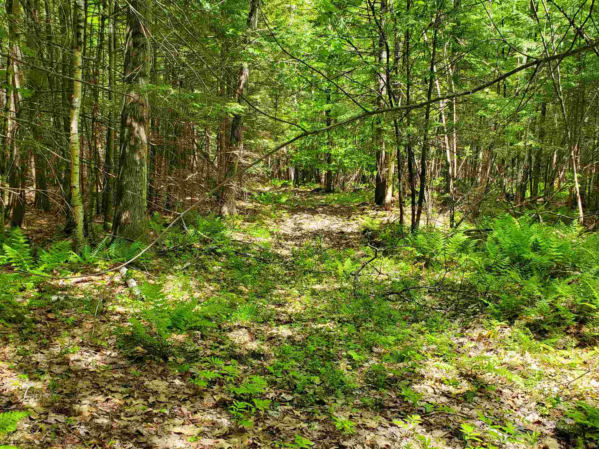 0 Cross Road Lebanon, NH 03766 - Photo 5 of 9