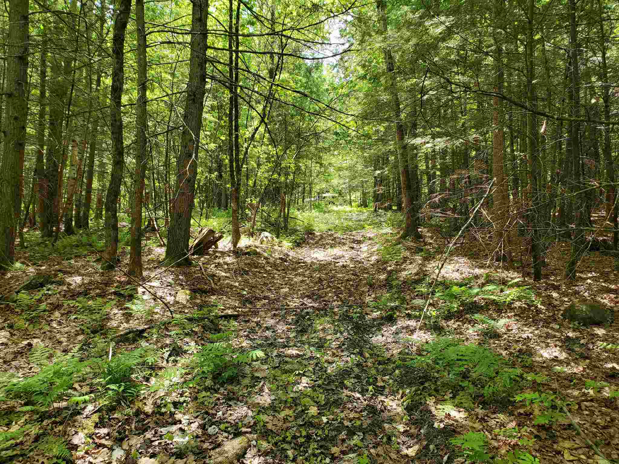 0 Cross Road Lebanon, NH 03766 - Photo 6 of 9