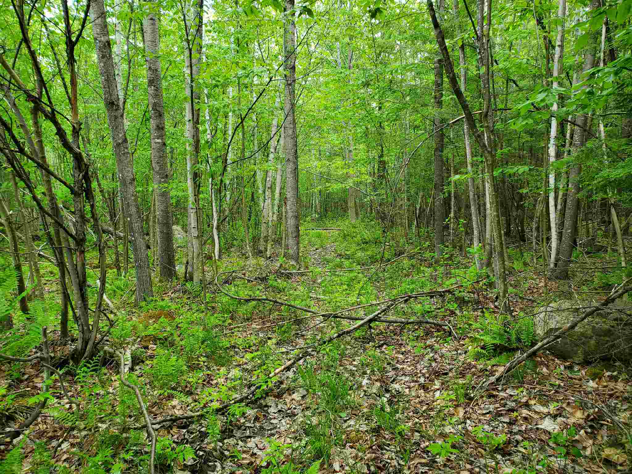 0 Cross Road Lebanon, NH 03766 - Photo 8 of 9