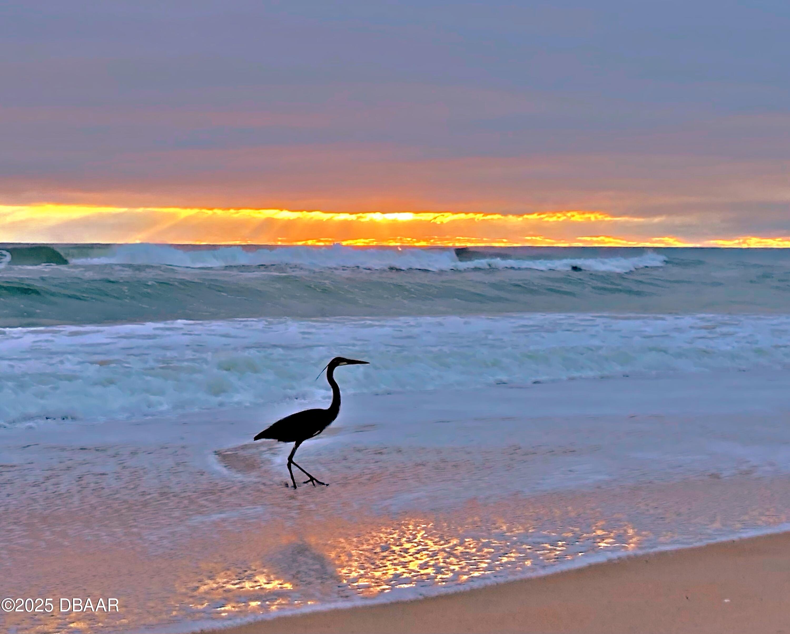 13 Sunrise Avenue Ormond Beach, FL 32176 - Photo 48 of 52 a view of a swimming pool with a lounge chair