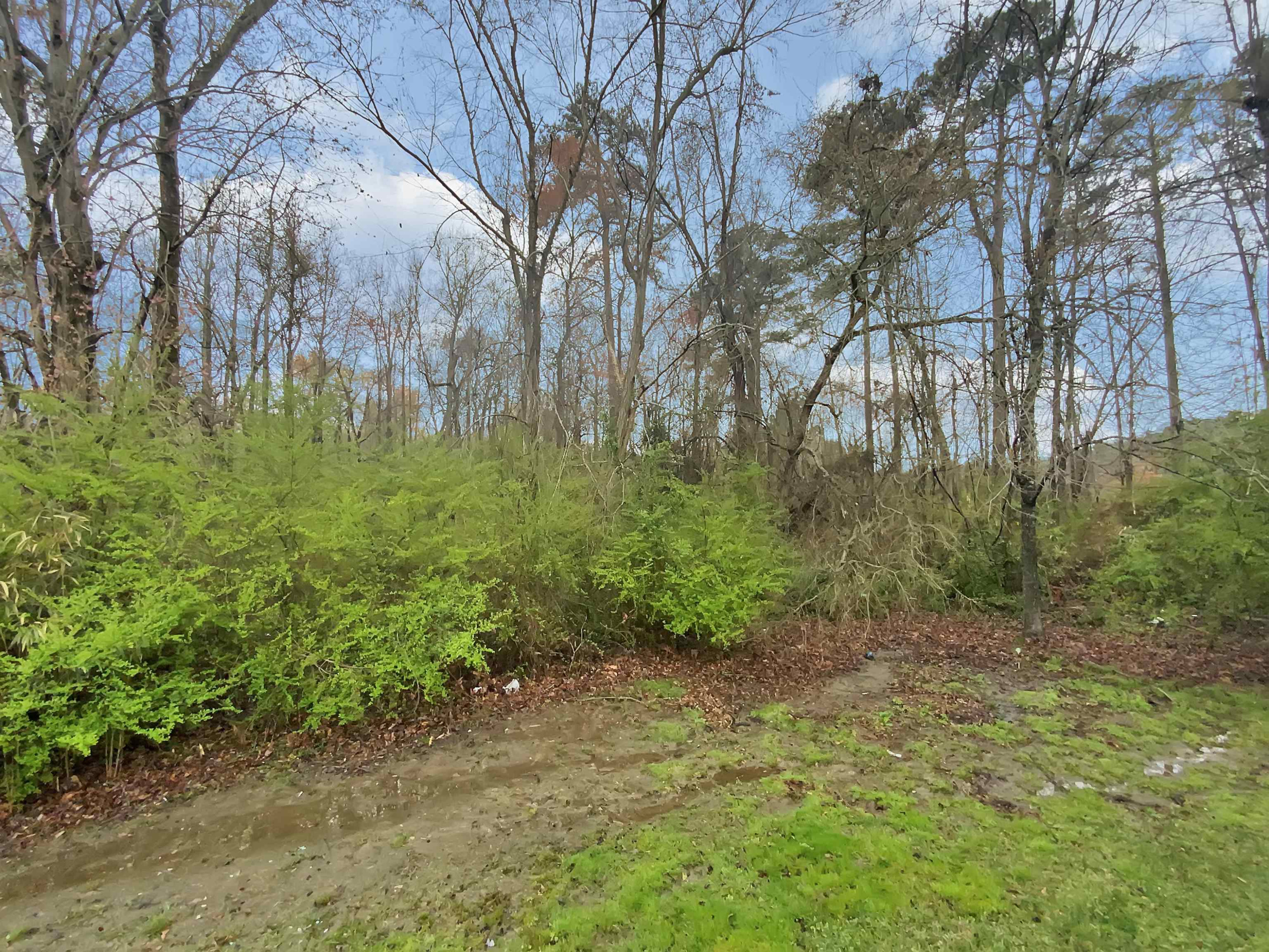 4301 Pillory Place Raleigh, NC 27616 - Photo 19 of 19 Photo 19