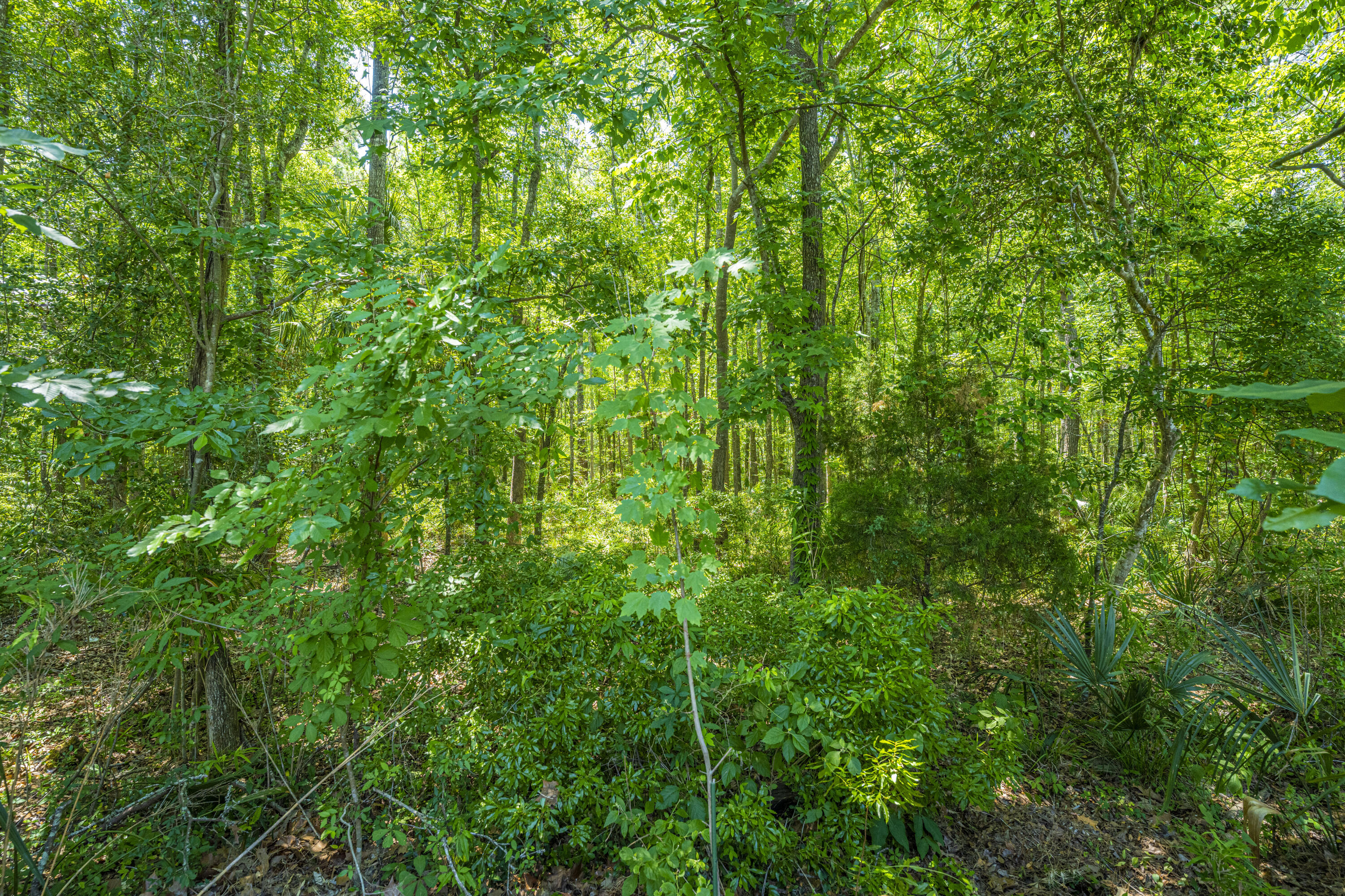 3376 Queensgate Way Mount Pleasant, SC 29466 - Photo 35 of 39 DSC_2294