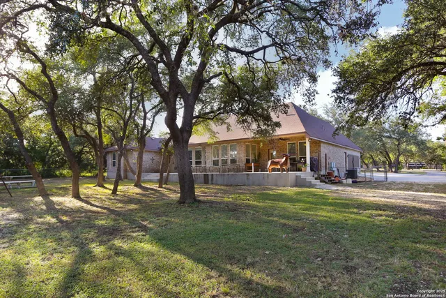 a view of a yard with tree s