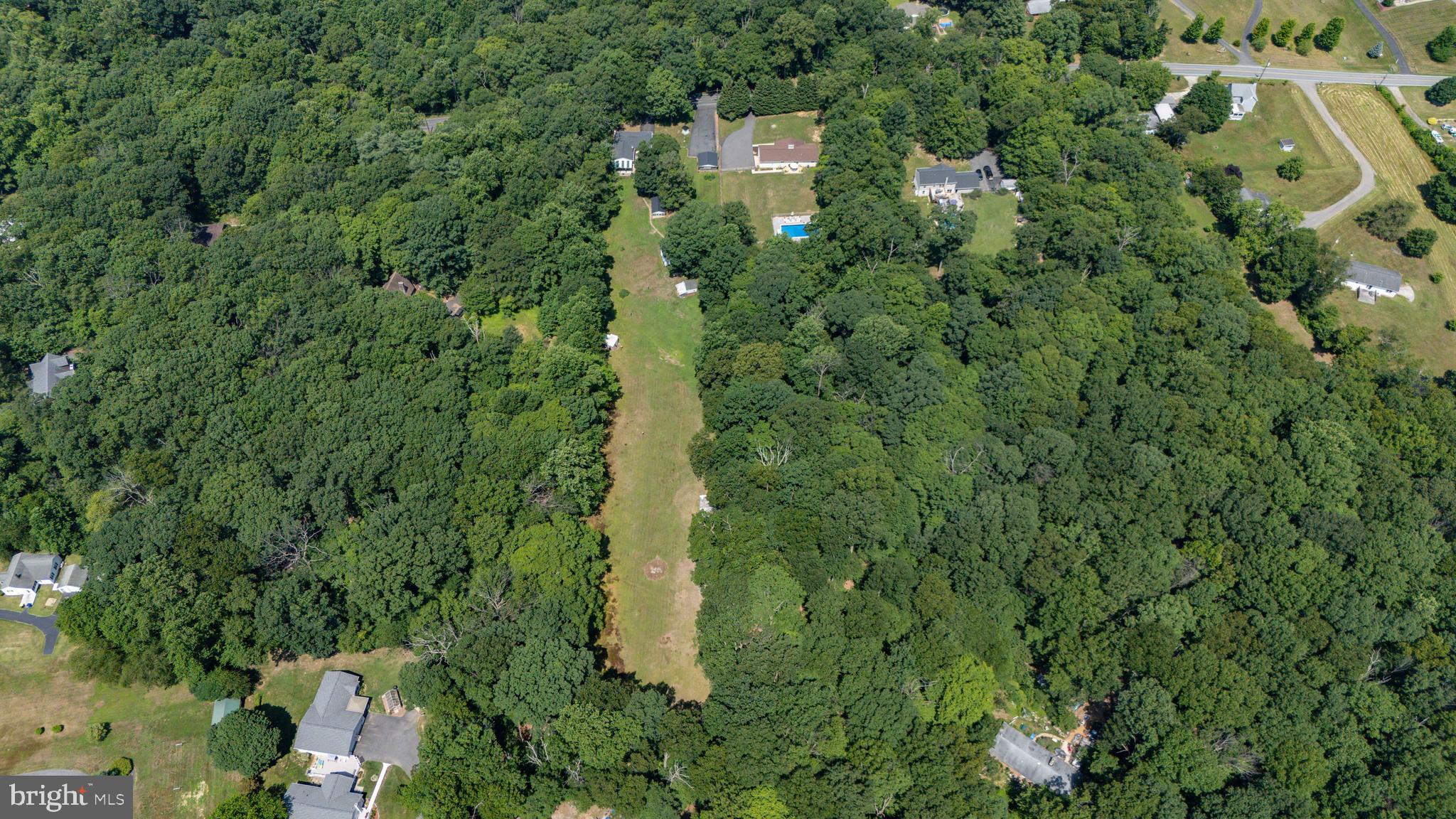 748 Principio Road Port Deposit, MD 21904 - Photo 39 of 43 MIX OF OPEN SPACE AND WOODED PROVIDES FLEXIBILITY