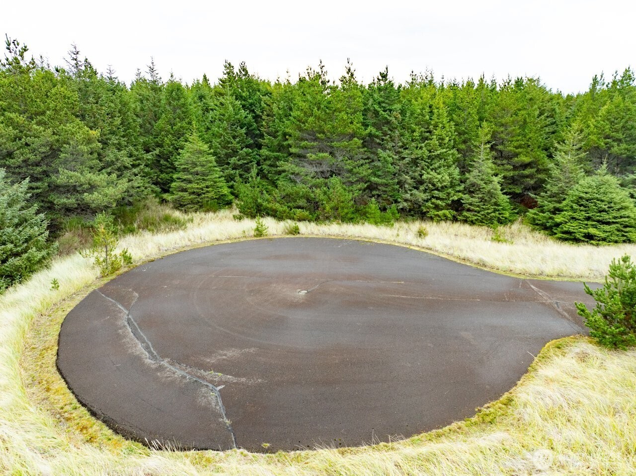 15710 J Place Long Beach, WA 98631 - Photo 12 of 15 a view of a swimming pool with a yard