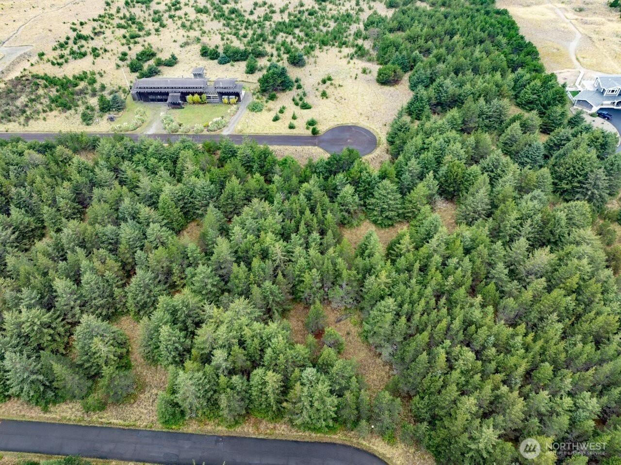 15710 J Place Long Beach, WA 98631 - Photo 3 of 15 an aerial view of residential house with outdoor space and trees all around