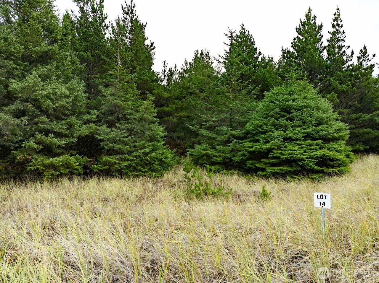 15710 J Place Long Beach, WA 98631 - Photo 8 of 15 a view of a garden