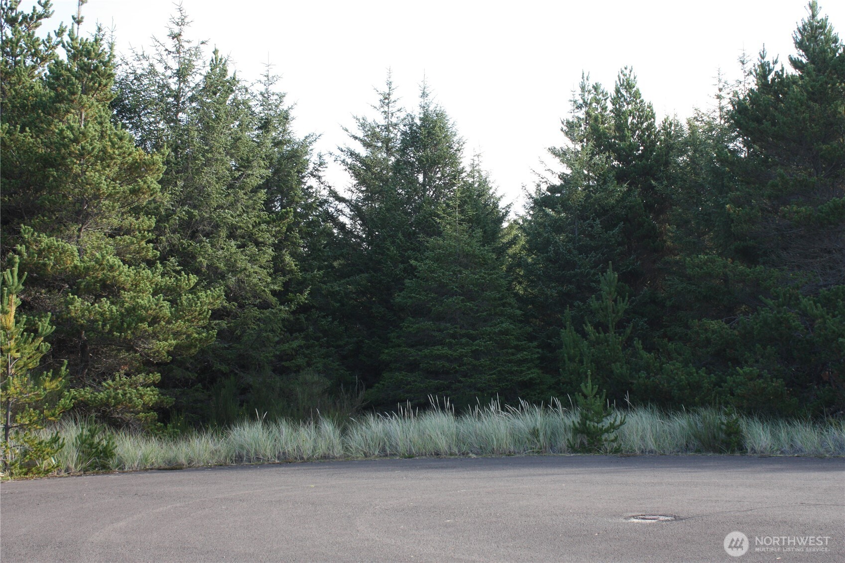 15710 J Place Long Beach, WA 98631 - Photo 9 of 15 a view of a yard