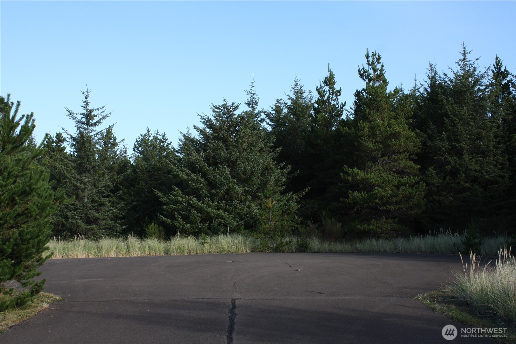 15710 J Place Long Beach, WA 98631 - Photo 10 of 15 a view of yard with green space