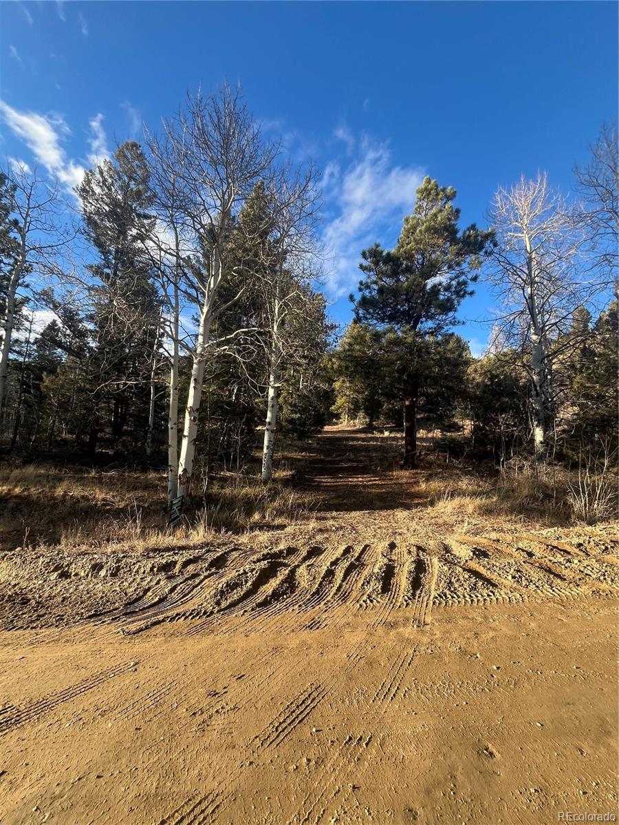 Forbes Road San Luis, CO 81152 - Photo 10 of 13 Gallery Image 10