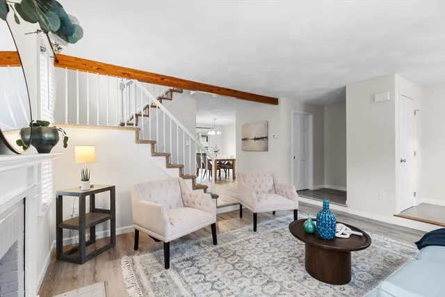 a living room with furniture a rug and a potted plant