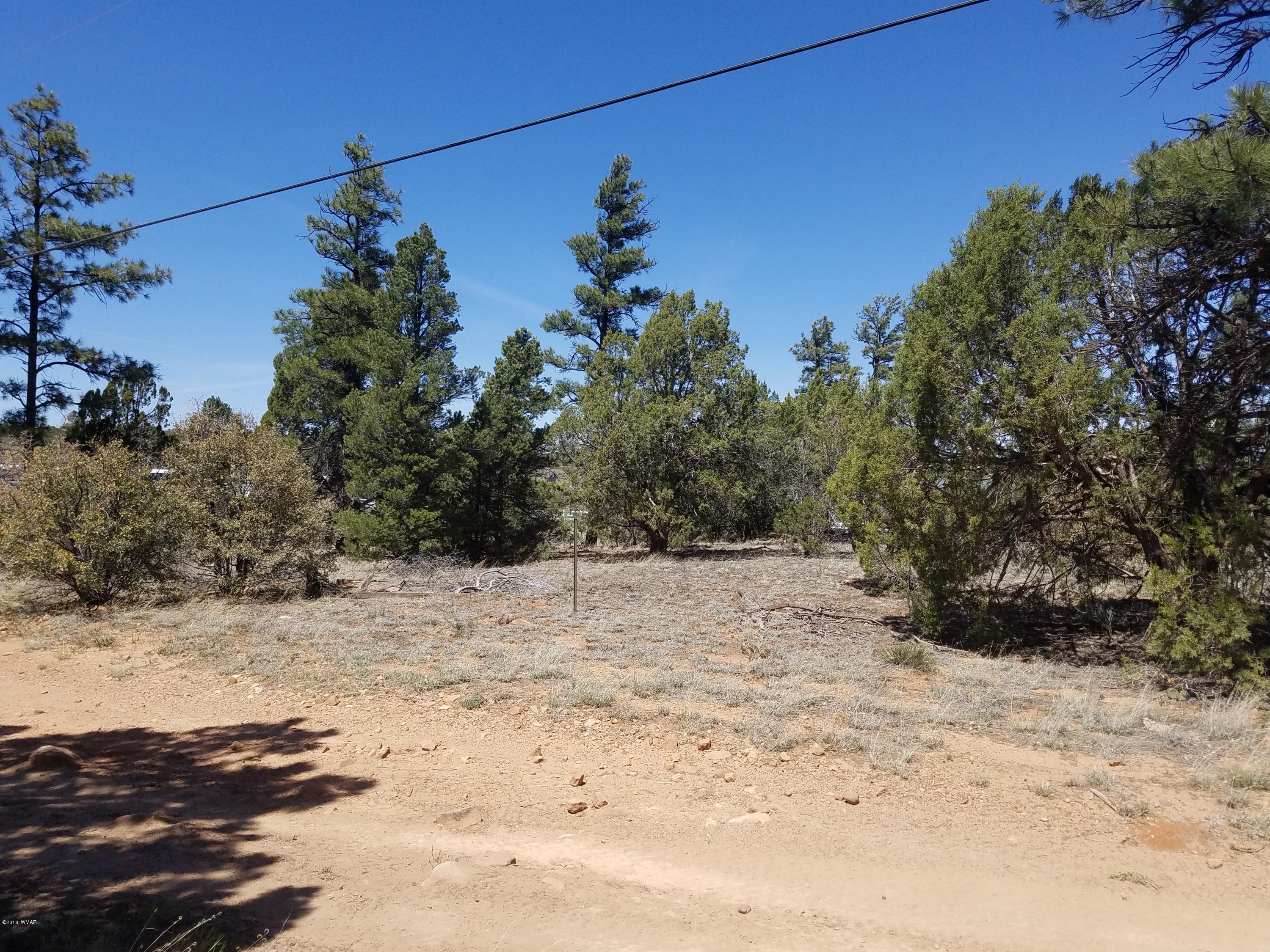6831 Queens High Road Show Low, AZ 85901 - Photo 1 of 1