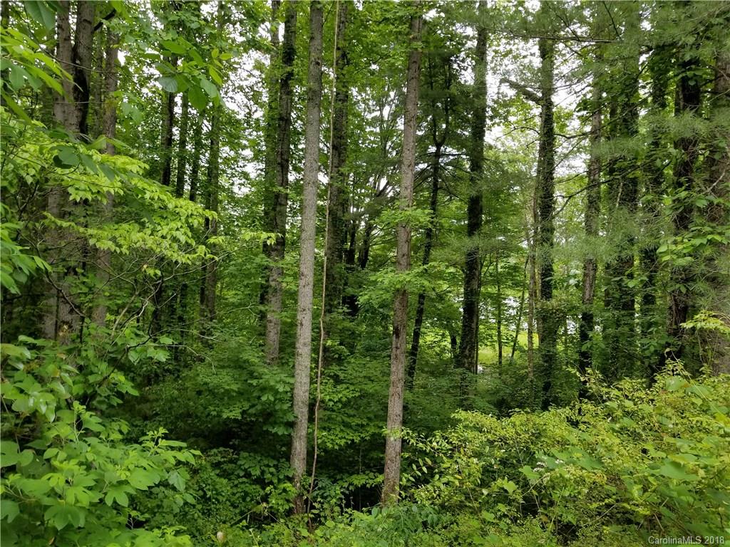 Lot #5 Yancey Road Marion, NC 28752 - Photo 2 of 34 Gallery Image 2