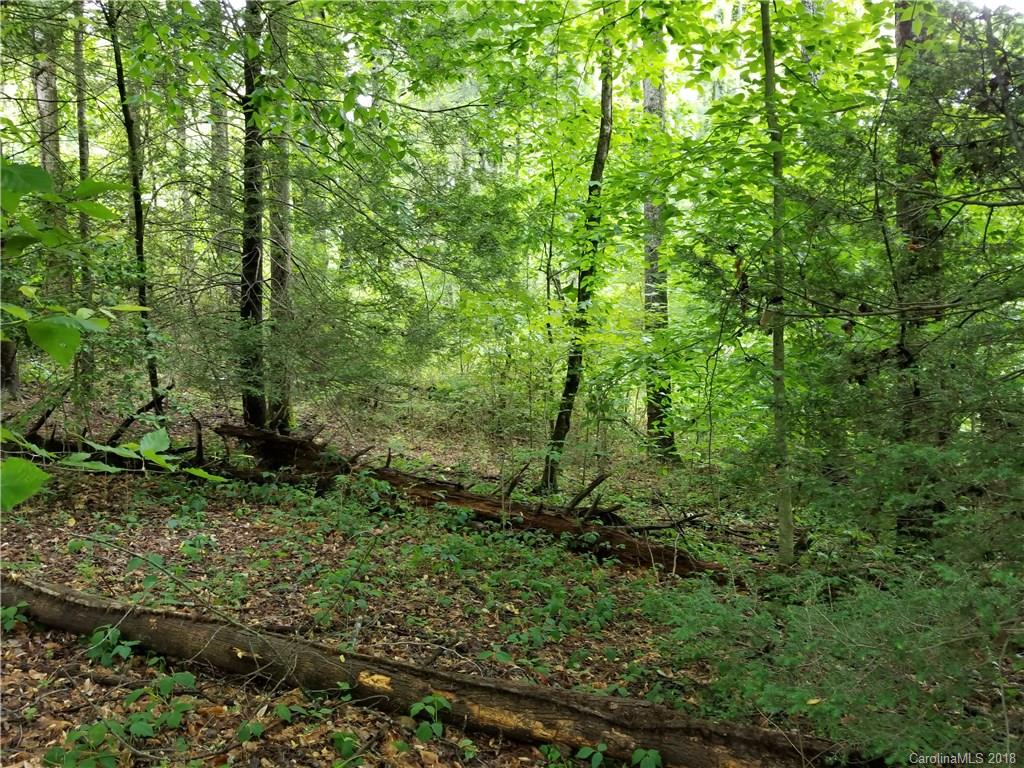 Lot #5 Yancey Road Marion, NC 28752 - Photo 18 of 34 Gallery Image 18