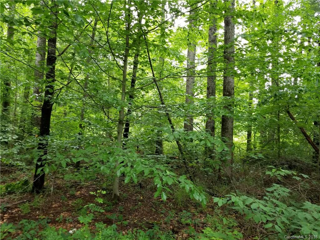 Lot #5 Yancey Road Marion, NC 28752 - Photo 19 of 34 Gallery Image 19