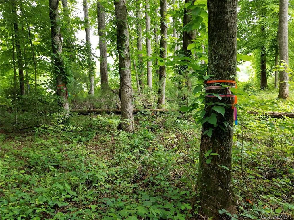 Lot #5 Yancey Road Marion, NC 28752 - Photo 20 of 34 Gallery Image 20