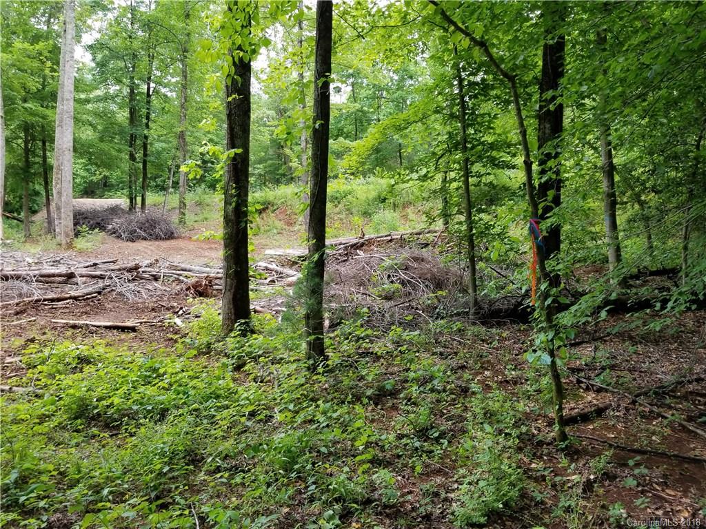 Lot #5 Yancey Road Marion, NC 28752 - Photo 21 of 34 Gallery Image 21