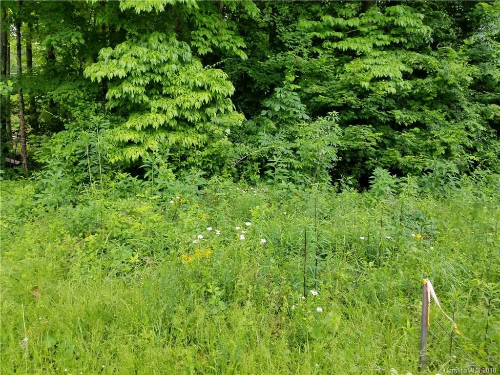 Lot #5 Yancey Road Marion, NC 28752 - Photo 24 of 34 Gallery Image 24