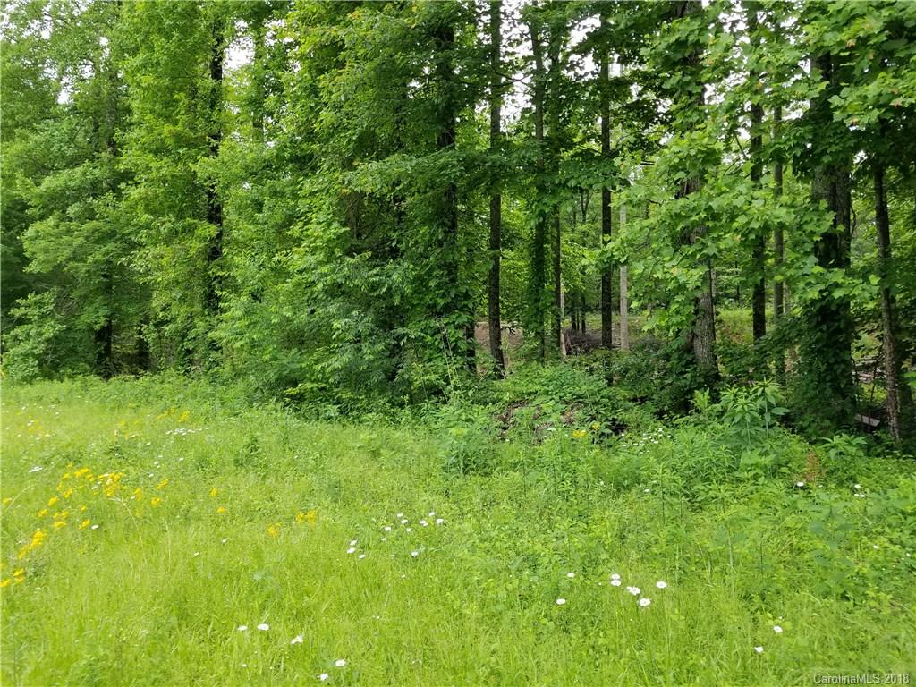 Lot #5 Yancey Road Marion, NC 28752 - Photo 25 of 34 Gallery Image 25