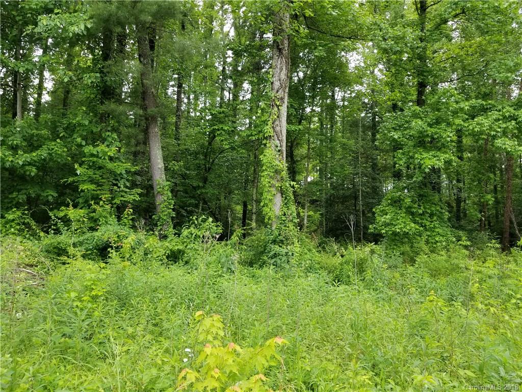 Lot #5 Yancey Road Marion, NC 28752 - Photo 27 of 34 Gallery Image 27