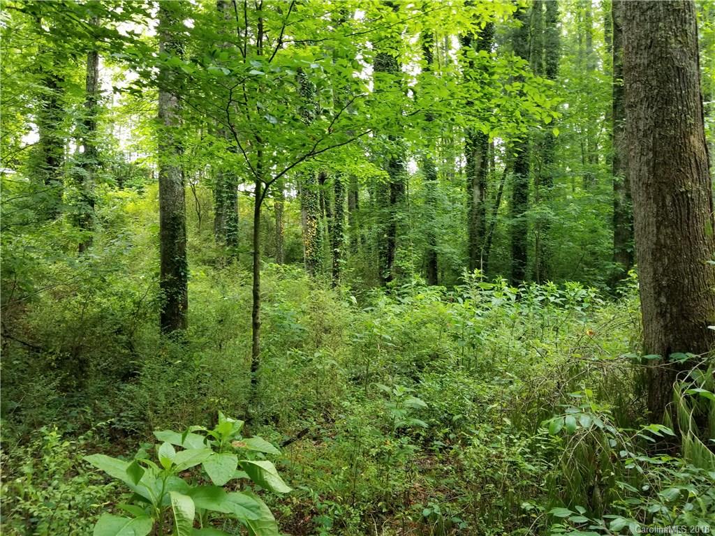 Lot #5 Yancey Road Marion, NC 28752 - Photo 31 of 34 Gallery Image 31