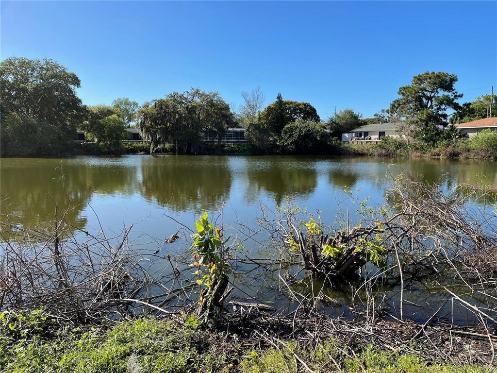 5736 Colonial Drive New Port Richey, FL 34653 - Photo 2 of 56