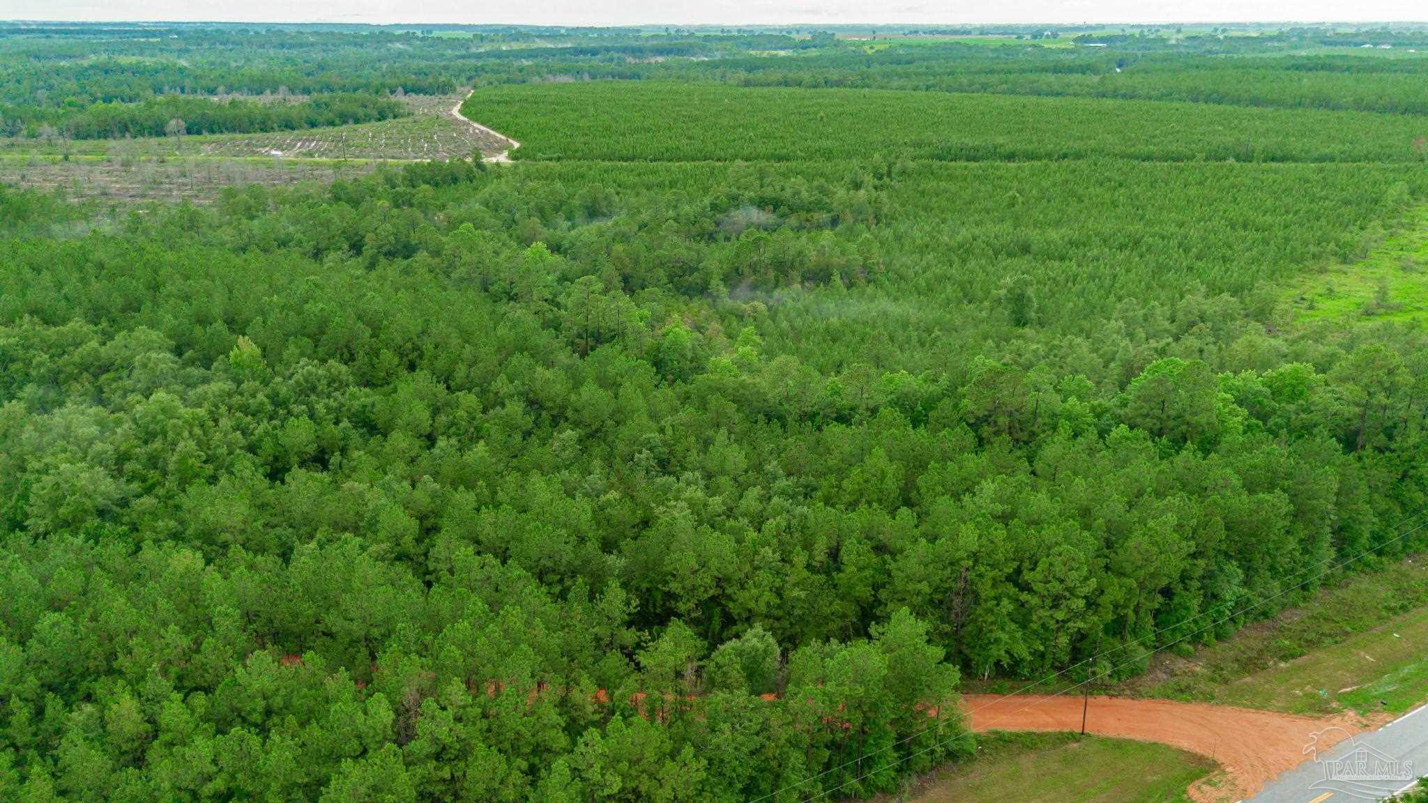 0 Greenwood Road Jay, FL 32565 - Photo 3 of 8