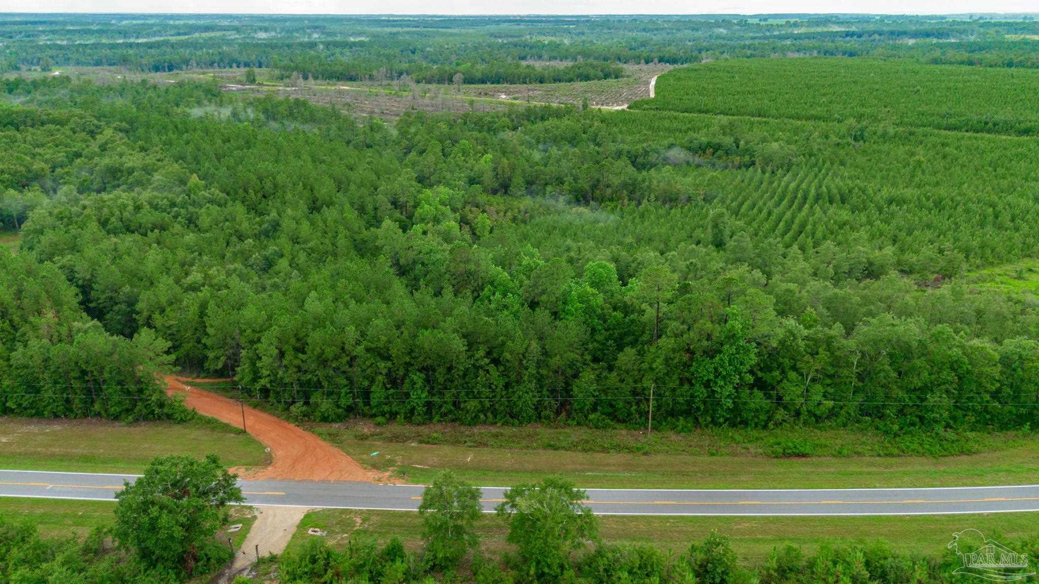 0 Greenwood Road Jay, FL 32565 - Photo 4 of 8