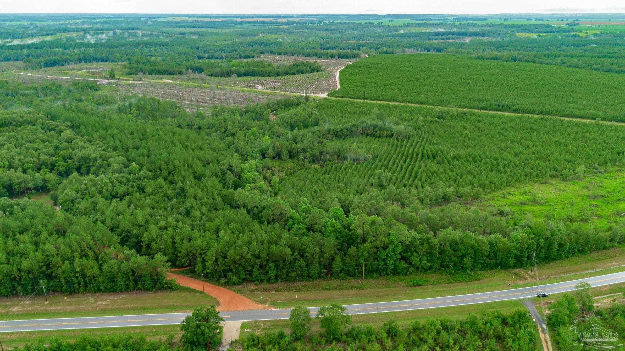 0 Greenwood Road Jay, FL 32565 - Photo 5 of 8